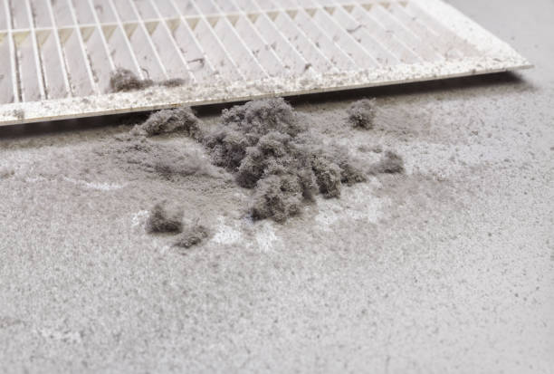 Best Ductwork Cleaning Services  in Bayboro, NC