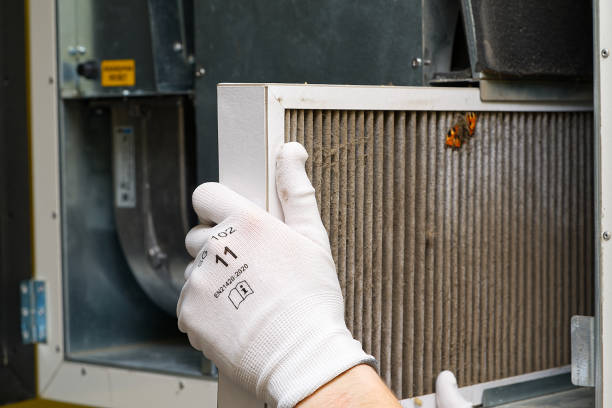 Best Emergency Air Duct Cleaning  in Bayboro, NC