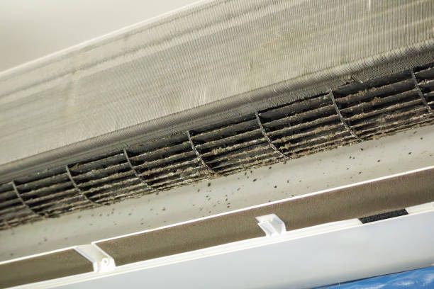 Best Local Air Duct Cleaning Services  in Bayboro, NC
